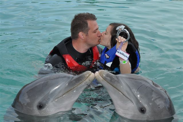 A very special engagement at Dolphin Encounters (photo credit to David Beckstead).